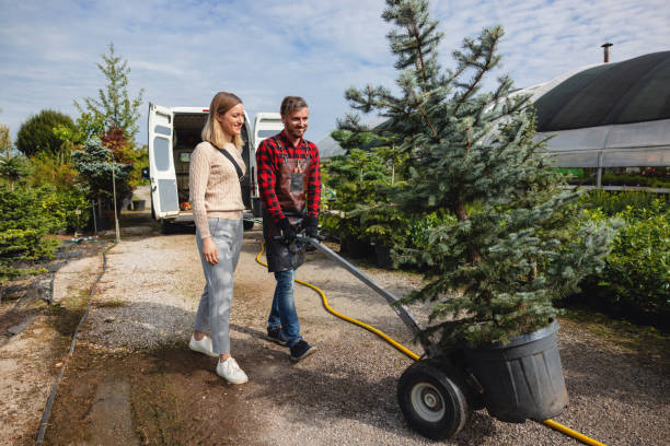 Best Weed Control  in Wyldwood, TX